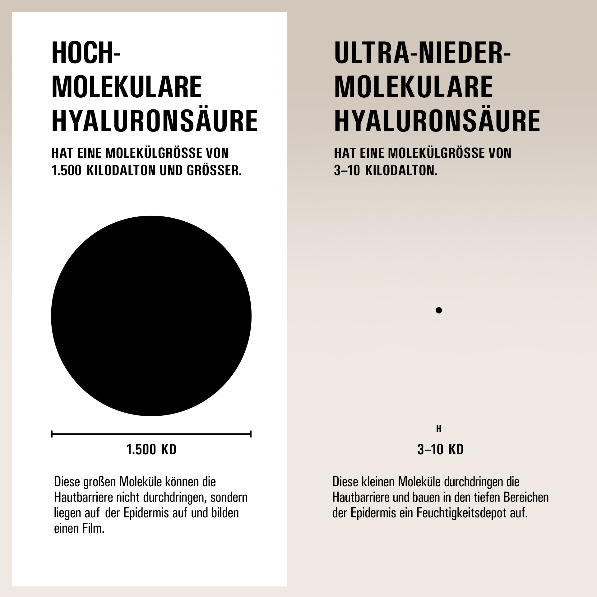 THE HYDRATOR