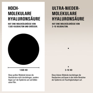 THE HYDRATOR