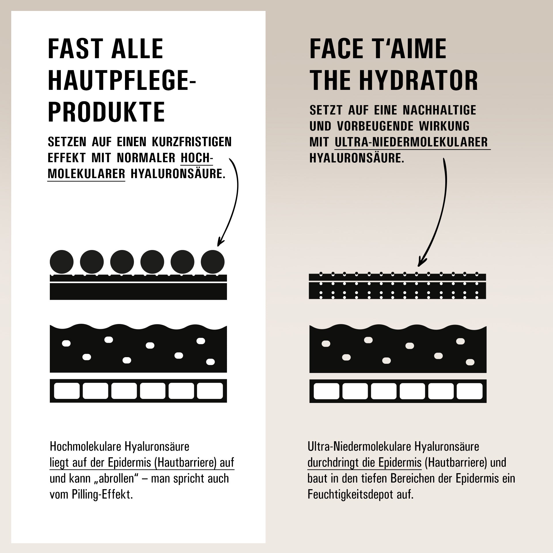 THE HYDRATOR